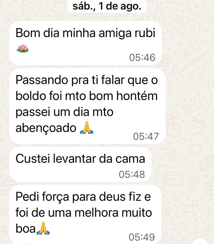 Print de conversa no WhatsApp: cliente conta que o banho de boldo foi muito bom e que passou um dia muito abençoado